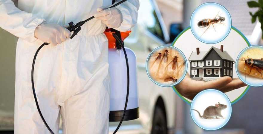 İncesu Böcek İlaçlama