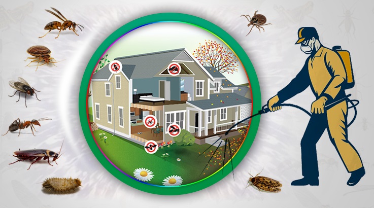 İncesu Böcek İlaçlama