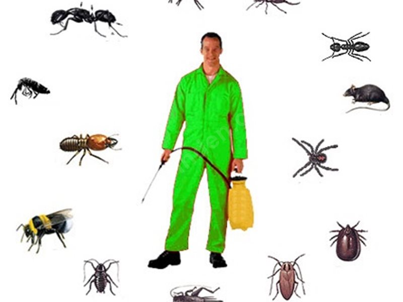 İncesu Böcek İlaçlama